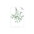 Picture of Under the Mistletoe II _GroupedProduct_Rectangle_Portrait_Unframed_Print_Only_