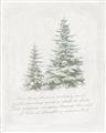 Picture of Winter Wonderland Trees _GroupedProduct_Rectangle_Portrait_Unframed_Print_Only_