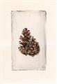 Picture of Nature's Holiday Charm I _GroupedProduct_Rectangle_Portrait_Unframed_Print_Only_