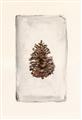 Picture of Nature's Holiday Charm II _GroupedProduct_Rectangle_Portrait_Unframed_Print_Only_