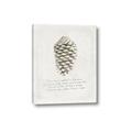 Picture of Pinecone Tidings I _GroupedProduct_Rectangle_Portrait_Canvas_