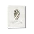 Picture of Pinecone Tidings I _GroupedProduct_Rectangle_Portrait_Canvas_