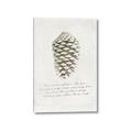 Picture of Pinecone Tidings I _GroupedProduct_Rectangle_Portrait_Canvas_