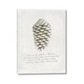 Picture of Pinecone Tidings I _GroupedProduct_Rectangle_Portrait_Canvas_