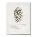 Picture of Pinecone Tidings I _GroupedProduct_Rectangle_Portrait_Canvas_