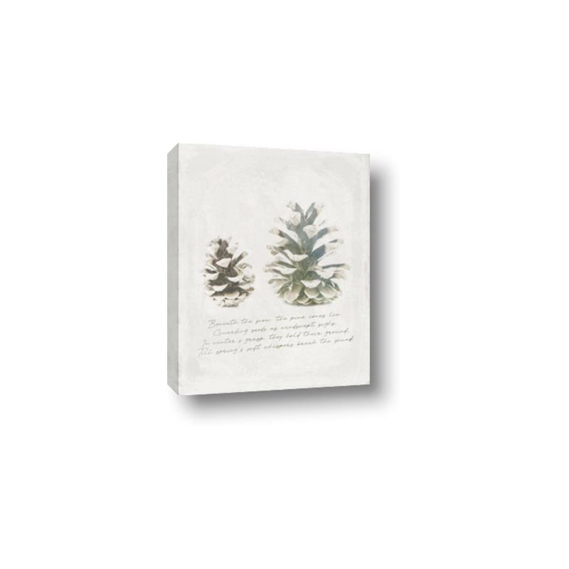 Picture of Pinecone Tidings II _GroupedProduct_Rectangle_Portrait_Canvas_