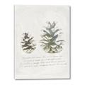 Picture of Pinecone Tidings II _GroupedProduct_Rectangle_Portrait_Canvas_
