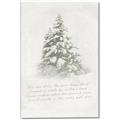 Picture of Holiday Pines _GroupedProduct_Rectangle_Portrait_Canvas_