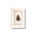 Picture of Nature's Holiday Charm II _GroupedProduct_Rectangle_Portrait_Canvas_