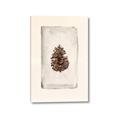 Picture of Nature's Holiday Charm II _GroupedProduct_Rectangle_Portrait_Canvas_