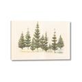 Picture of Joyful Pines _GroupedProduct_Rectangle_Landscape_Canvas_