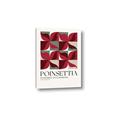 Picture of Poinsettia _GroupedProduct_Rectangle_Portrait_Canvas_