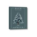 Picture of Blue Spruce _GroupedProduct_Rectangle_Portrait_Canvas_