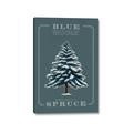 Picture of Blue Spruce _GroupedProduct_Rectangle_Portrait_Canvas_