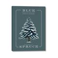 Picture of Blue Spruce _GroupedProduct_Rectangle_Portrait_Canvas_