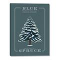 Picture of Blue Spruce _GroupedProduct_Rectangle_Portrait_Canvas_