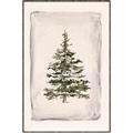 Picture of O Christmas Tree II _GroupedProduct_Rectangle_Portrait_Canvas_Framed_