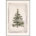 Picture of O Christmas Tree II _GroupedProduct_Rectangle_Portrait_Canvas_Framed_