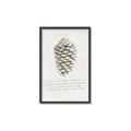 Picture of Pinecone Tidings I _GroupedProduct_Rectangle_Portrait_Canvas_Framed_
