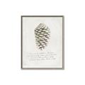Picture of Pinecone Tidings I _GroupedProduct_Rectangle_Portrait_Canvas_Framed_