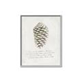 Picture of Pinecone Tidings I _GroupedProduct_Rectangle_Portrait_Canvas_Framed_