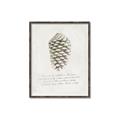 Picture of Pinecone Tidings I _GroupedProduct_Rectangle_Portrait_Canvas_Framed_