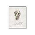 Picture of Pinecone Tidings I _GroupedProduct_Rectangle_Portrait_Canvas_Framed_