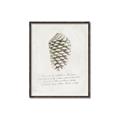 Picture of Pinecone Tidings I _GroupedProduct_Rectangle_Portrait_Canvas_Framed_