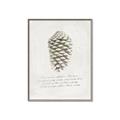 Picture of Pinecone Tidings I _GroupedProduct_Rectangle_Portrait_Canvas_Framed_