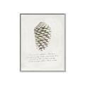 Picture of Pinecone Tidings I _GroupedProduct_Rectangle_Portrait_Canvas_Framed_