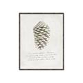 Picture of Pinecone Tidings I _GroupedProduct_Rectangle_Portrait_Canvas_Framed_