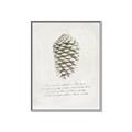 Picture of Pinecone Tidings I _GroupedProduct_Rectangle_Portrait_Canvas_Framed_