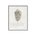 Picture of Pinecone Tidings I _GroupedProduct_Rectangle_Portrait_Canvas_Framed_