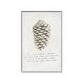 Picture of Pinecone Tidings I _GroupedProduct_Rectangle_Portrait_Canvas_Framed_