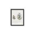 Picture of Pinecone Tidings II _GroupedProduct_Rectangle_Portrait_Canvas_Framed_