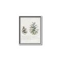 Picture of Pinecone Tidings II _GroupedProduct_Rectangle_Portrait_Canvas_Framed_