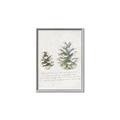 Picture of Pinecone Tidings II _GroupedProduct_Rectangle_Portrait_Canvas_Framed_