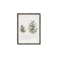 Picture of Pinecone Tidings II _GroupedProduct_Rectangle_Portrait_Canvas_Framed_