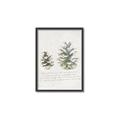 Picture of Pinecone Tidings II _GroupedProduct_Rectangle_Portrait_Canvas_Framed_