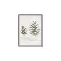 Picture of Pinecone Tidings II _GroupedProduct_Rectangle_Portrait_Canvas_Framed_