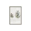 Picture of Pinecone Tidings II _GroupedProduct_Rectangle_Portrait_Canvas_Framed_