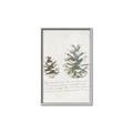Picture of Pinecone Tidings II _GroupedProduct_Rectangle_Portrait_Canvas_Framed_