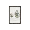 Picture of Pinecone Tidings II _GroupedProduct_Rectangle_Portrait_Canvas_Framed_
