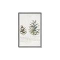 Picture of Pinecone Tidings II _GroupedProduct_Rectangle_Portrait_Canvas_Framed_