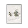 Picture of Pinecone Tidings II _GroupedProduct_Rectangle_Portrait_Canvas_Framed_
