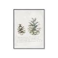 Picture of Pinecone Tidings II _GroupedProduct_Rectangle_Portrait_Canvas_Framed_