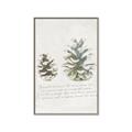 Picture of Pinecone Tidings II _GroupedProduct_Rectangle_Portrait_Canvas_Framed_