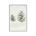 Picture of Pinecone Tidings II _GroupedProduct_Rectangle_Portrait_Canvas_Framed_
