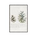 Picture of Pinecone Tidings II _GroupedProduct_Rectangle_Portrait_Canvas_Framed_