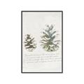 Picture of Pinecone Tidings II _GroupedProduct_Rectangle_Portrait_Canvas_Framed_